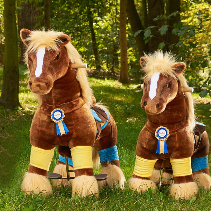 The store pony cycle